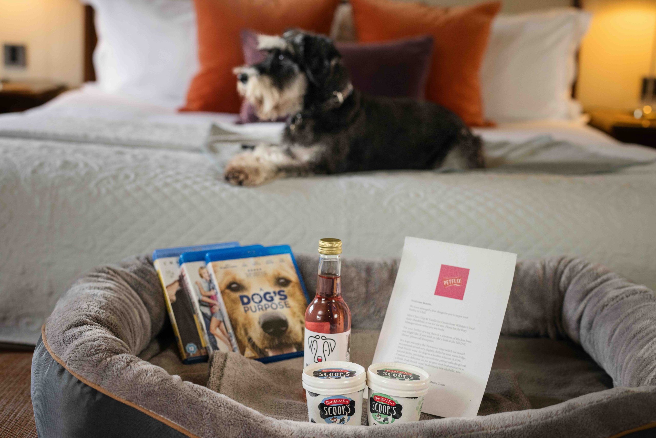 Dog bed with dog-themed blu-rays and doggy treats